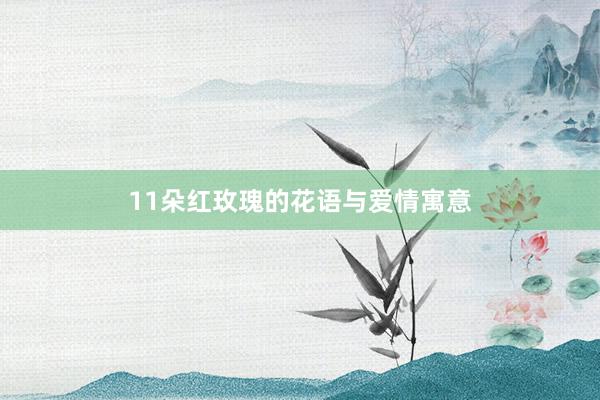 11朵红玫瑰的花语与爱情寓意