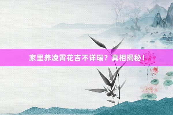 家里养凌霄花吉不详瑞?真相揭秘!